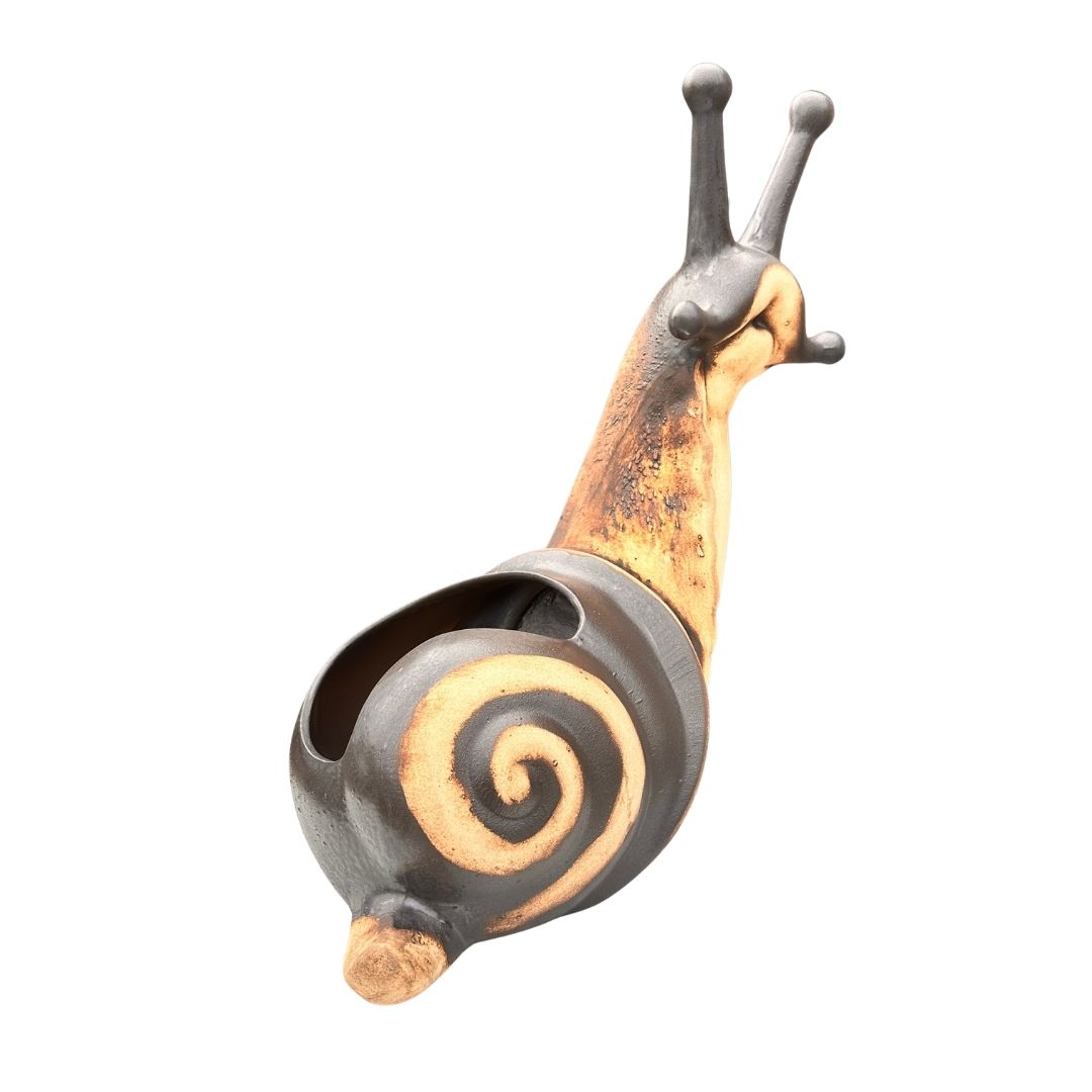 Detail hlavy šneka Oskara